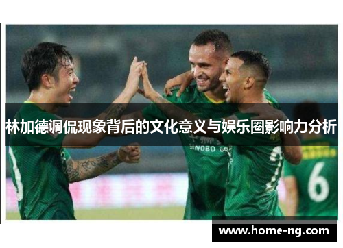 林加德调侃现象背后的文化意义与娱乐圈影响力分析 林加德调侃现象背后的文化意义与娱乐圈影响力分析